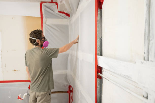 Best Crawl Space Mold Remediation  in Rushford, MN