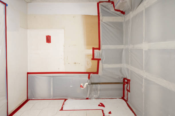 Best Comprehensive Air Testing for Mold Contaminants  in Rushford, MN