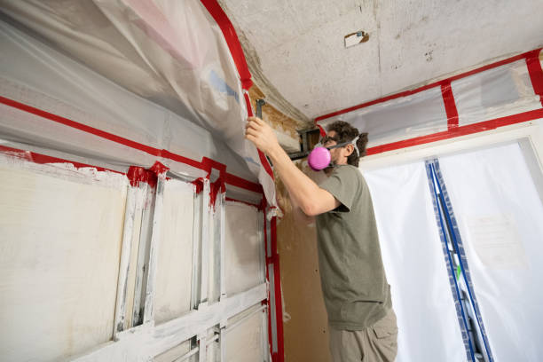 Best Post-Construction Mold Inspection  in Rushford, MN