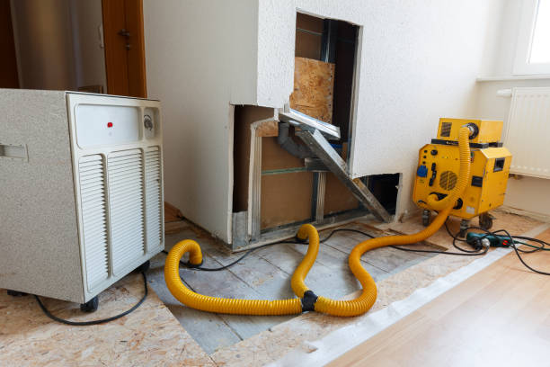 Best Asbestos and Lead Testing During Mold Inspection  in Rushford, MN