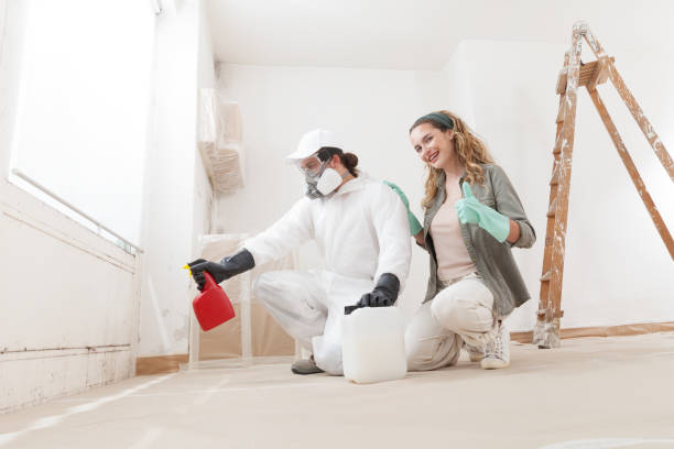 Best Mold Odor Removal Services  in Rushford, MN